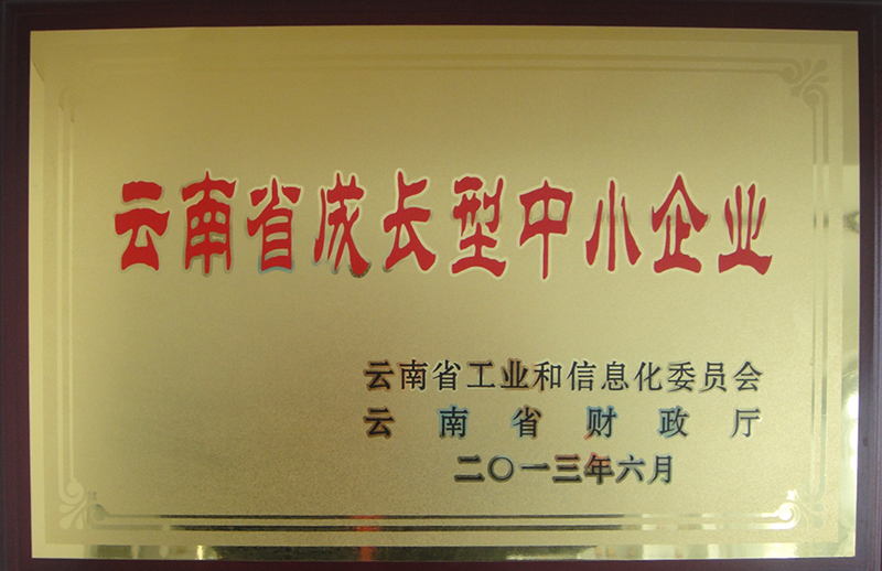 成長(zhǎng)型中小企業(yè)