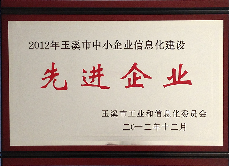 信息化先進(jìn)企業(yè)