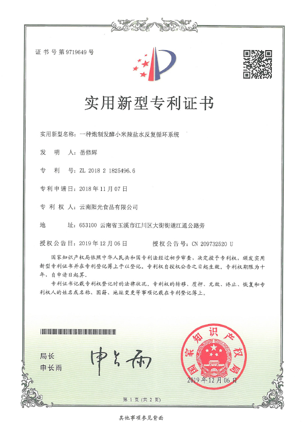 一種炮制發(fā)酵小米辣鹽水反復(fù)循環(huán)系統(tǒng)專利證書