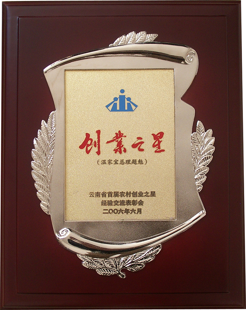 創(chuàng)業(yè)之星