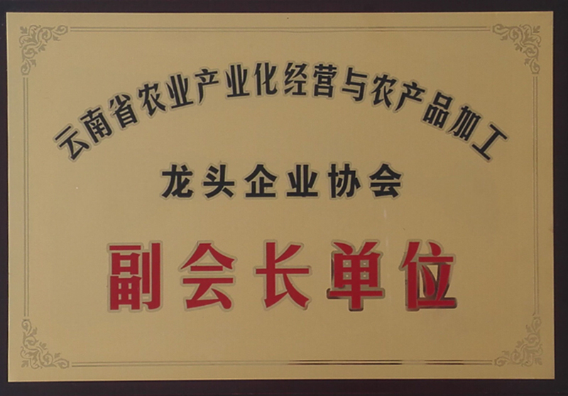 龍頭企業(yè)副會(huì)長(zhǎng)單位