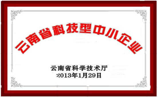 科技型中小企業(yè)